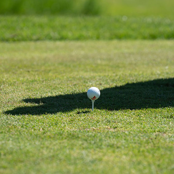 Golf ball on a tee.