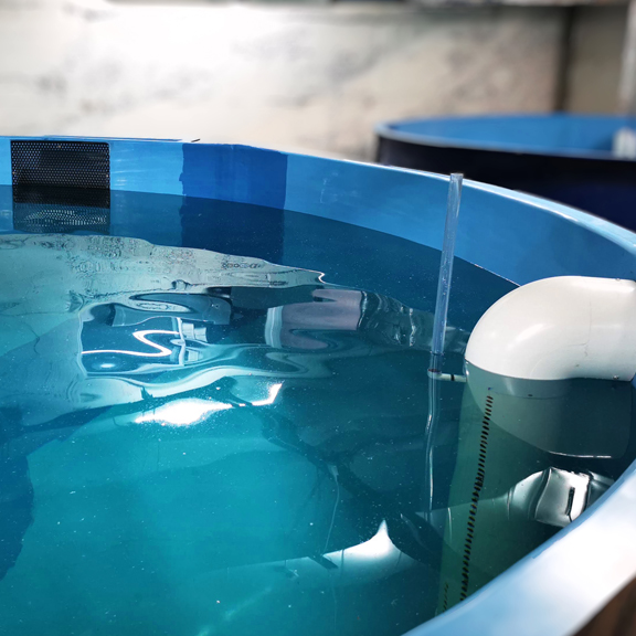 image of Opercule Urban Fish Farm