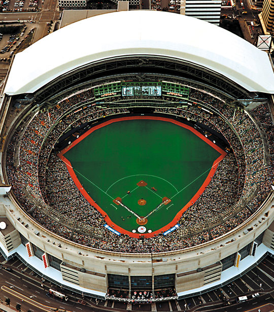 SkyDome-540x615