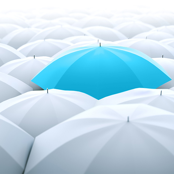 Blue umbrella in a row of white ones