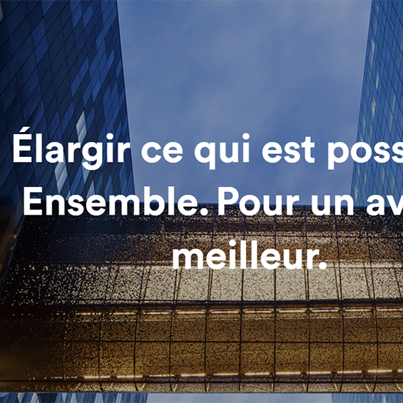 Screen grab of French website