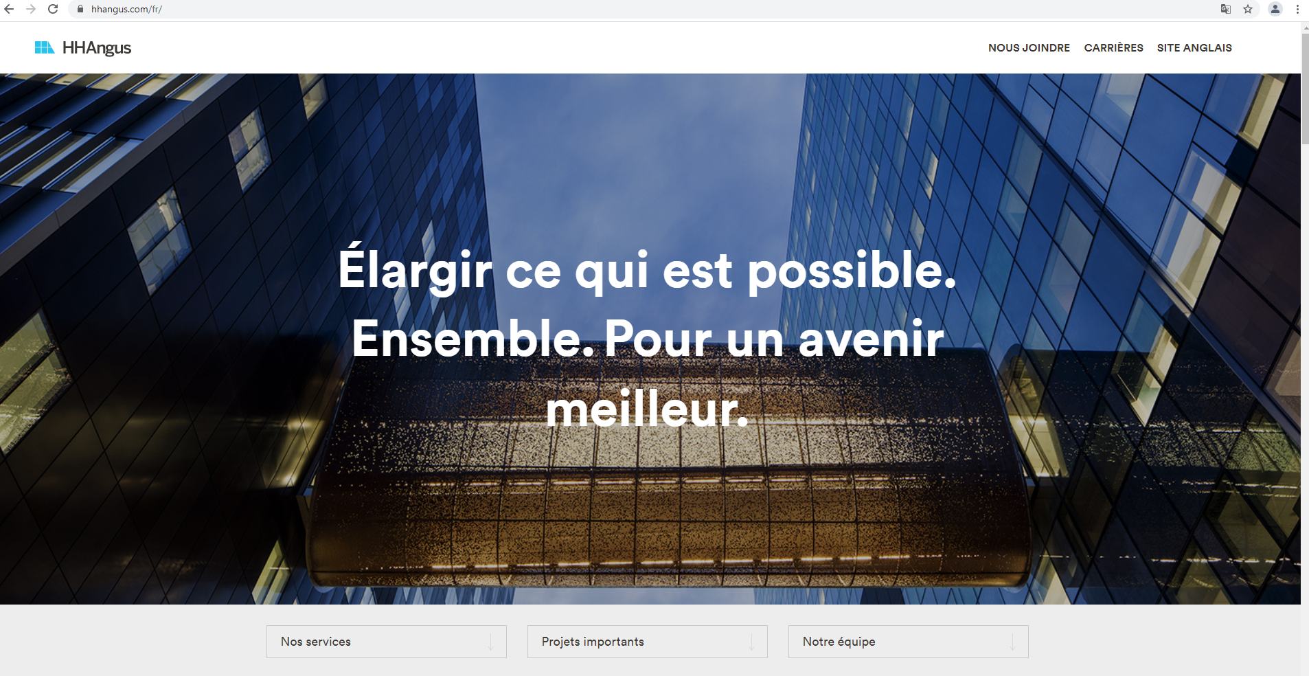 Capture Screen capture of the French website