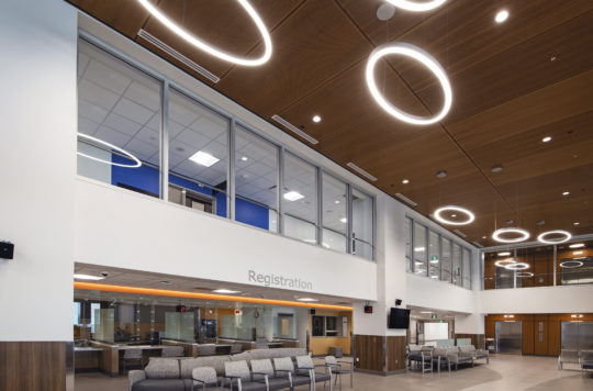 Modern reception interior with wood ceiling and circular lighting 