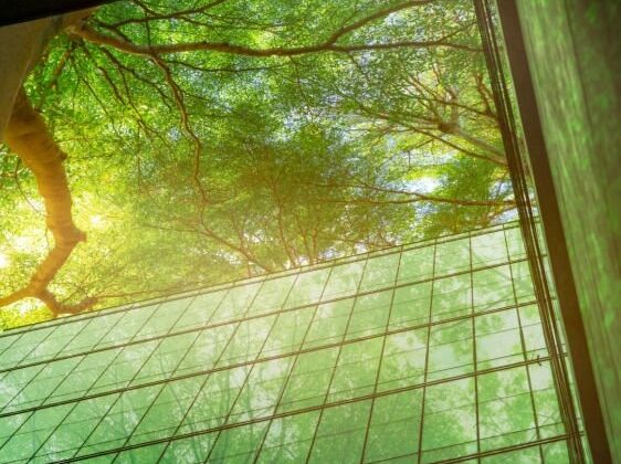 istockphoto-1391406065-1024x1024 Sustainable business office building. Eco-friendly building in modern city. Green tree and sustainable glass building for reduce CO2. Office building and green environment. Healthy corporate. Go green