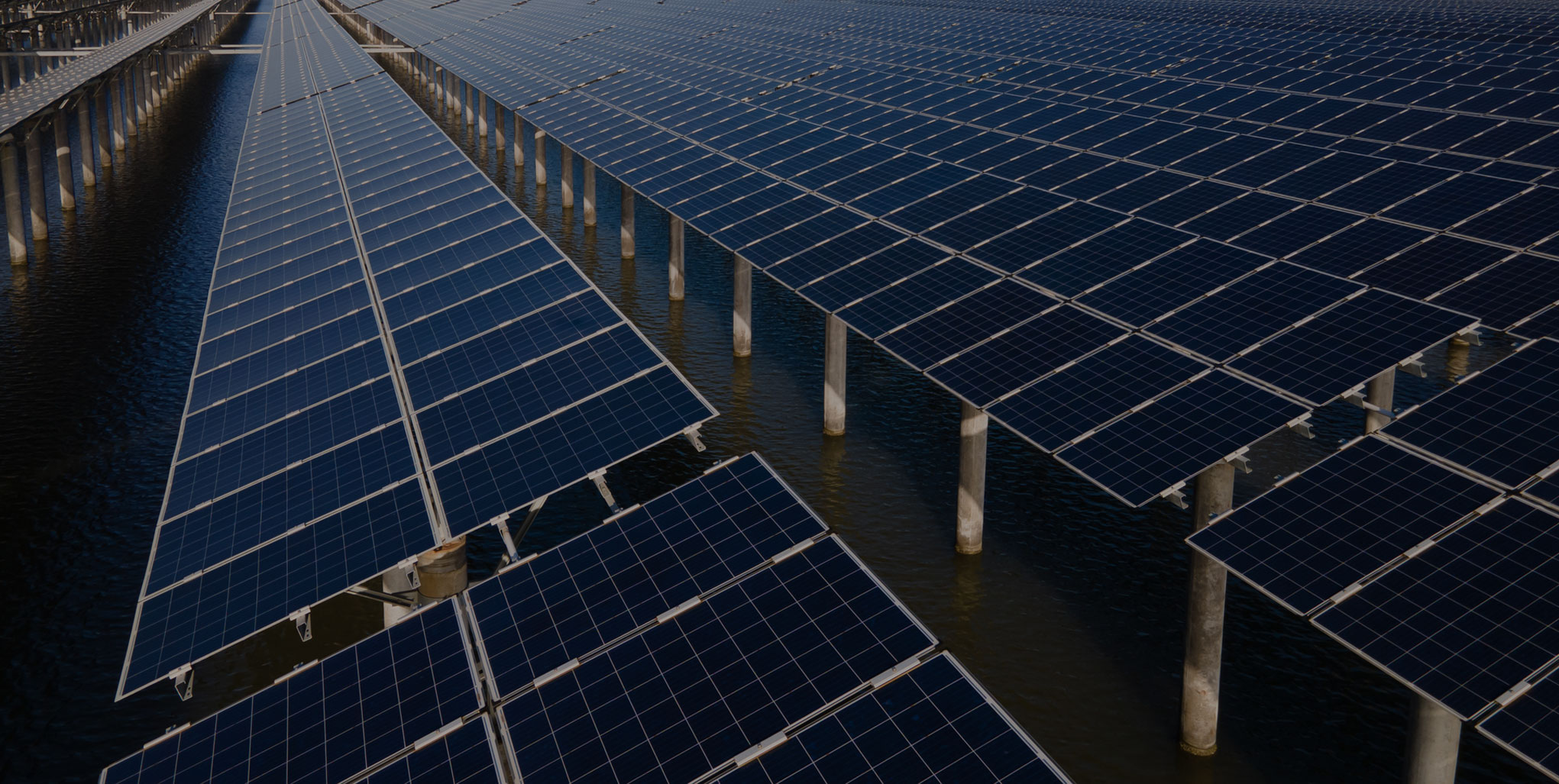 Image of solar panels